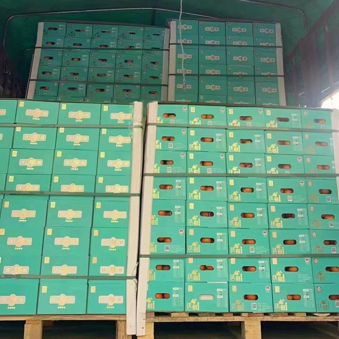 微信图片_20231024084610