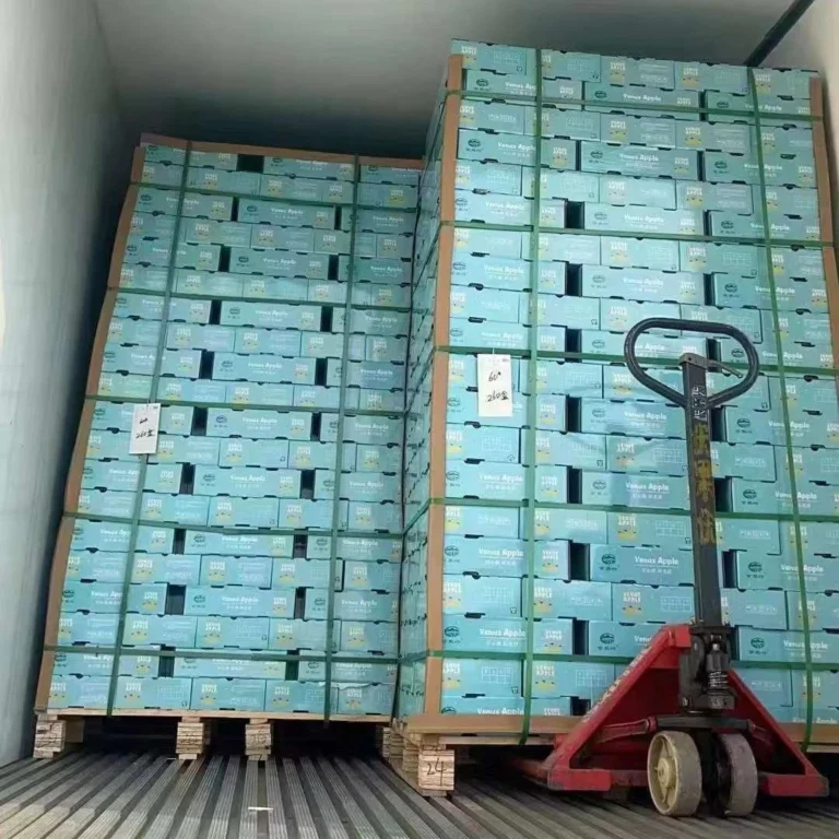 微信图片_20231024084601_副本